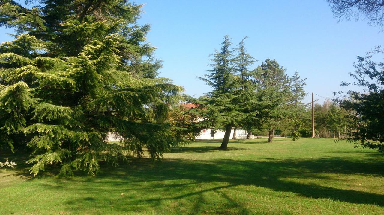 Le Pontet Bed & Breakfast Miramont-de-Guyenne Luaran gambar